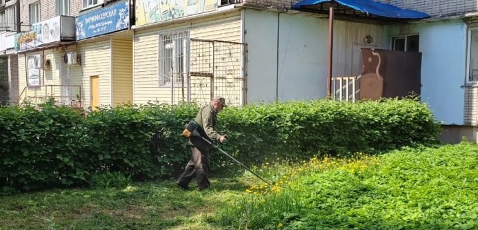 Фото: barnaul.org
