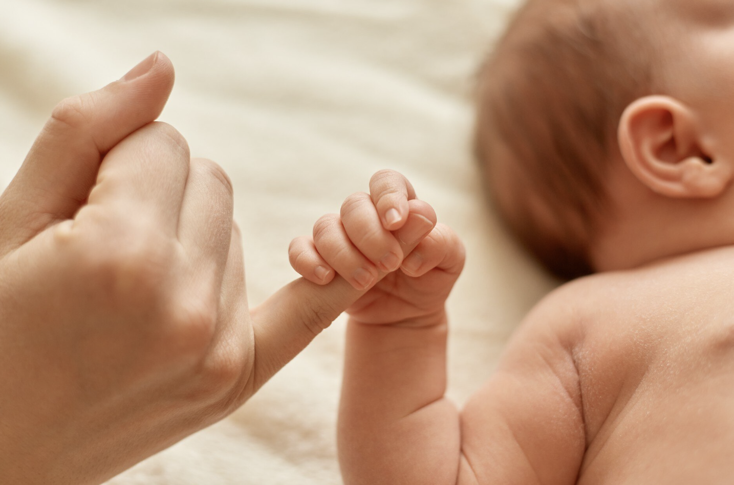 Почти 90 мероприятий проведут в рамках программы поддержки рождаемости в Алтайском крае - Вечерний Барнаул, 15.03.2026