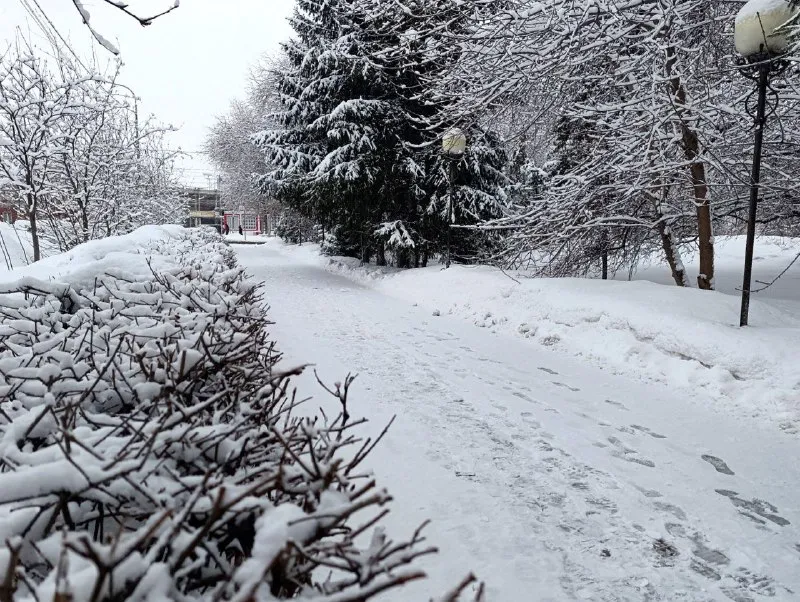 До +2 будет в Барнауле 14 и 15 марта - Вечерний Барнаул, 13.03.2026