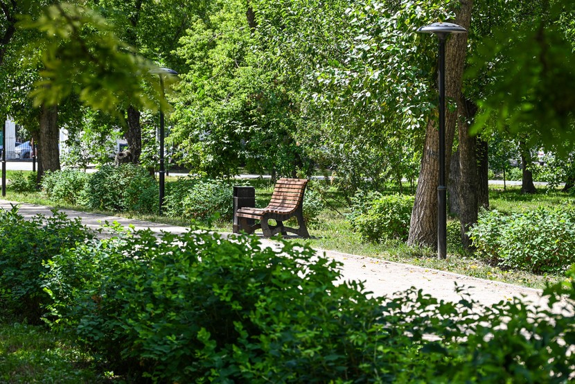 Какие работы пройдут в Барнауле на Шумакова, 9, в парке имени Ленина и в границах улиц Чайковского и Куйбышева в 2027 году - Вечерний Барнаул, 03.09.2026