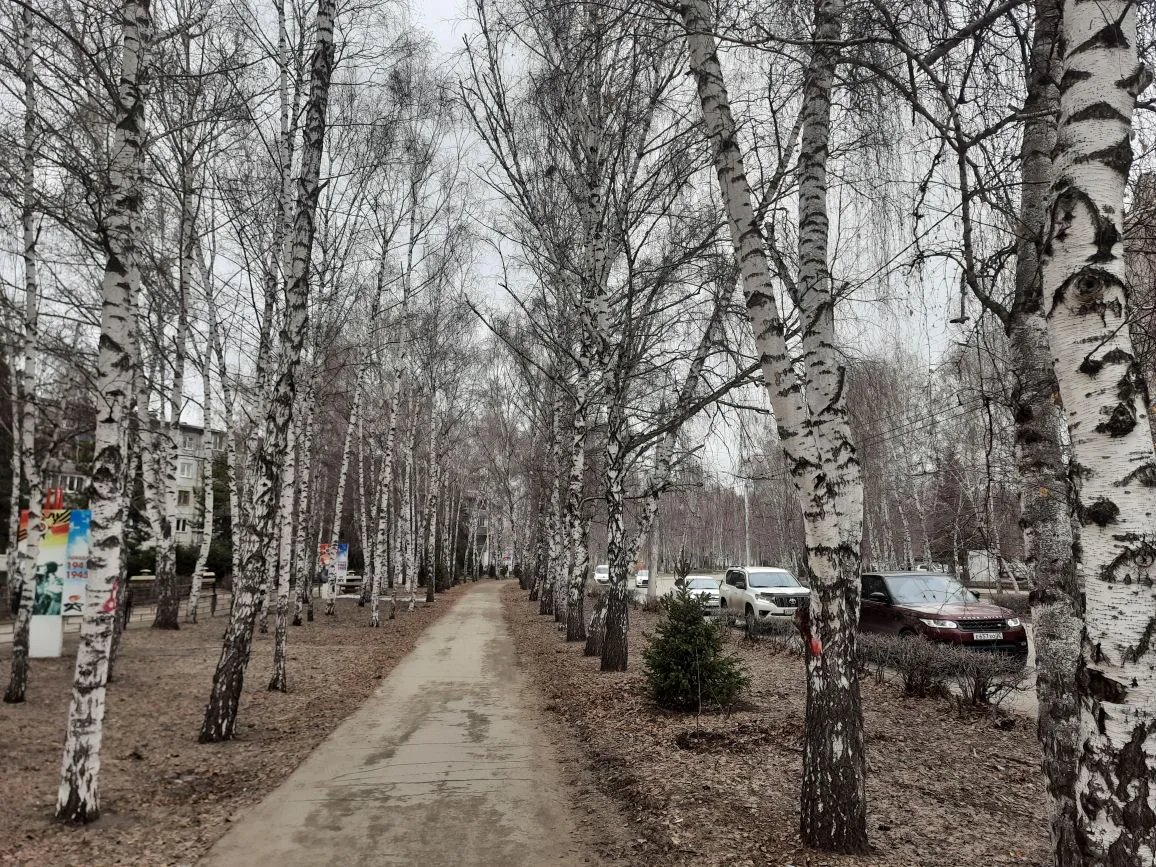 До +3 градусов поднимутся столбики термометров в Барнауле 16 апреля - Вечерний Барнаул, 16.04.2026