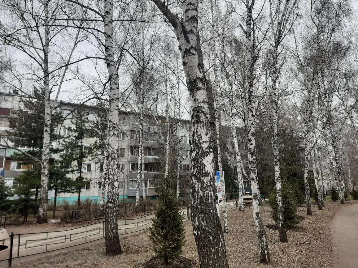 Температурные качели от +9 до -4 ожидают барнаульцев 15 апреля - Вечерний Барнаул, 15.04.2026