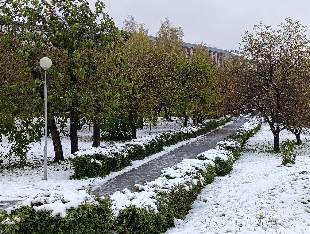 Плюсовая температура прогнозируется на этой неделе в Барнауле - Вечерний Барнаул, 17.11.2025