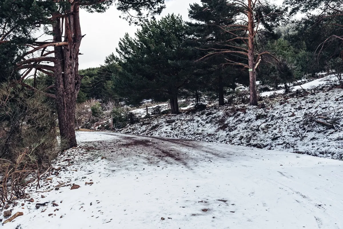 Перестраиваемся на весенний лад: народные приметы на 3 апреля - Вечерний Барнаул, 03.04.2026