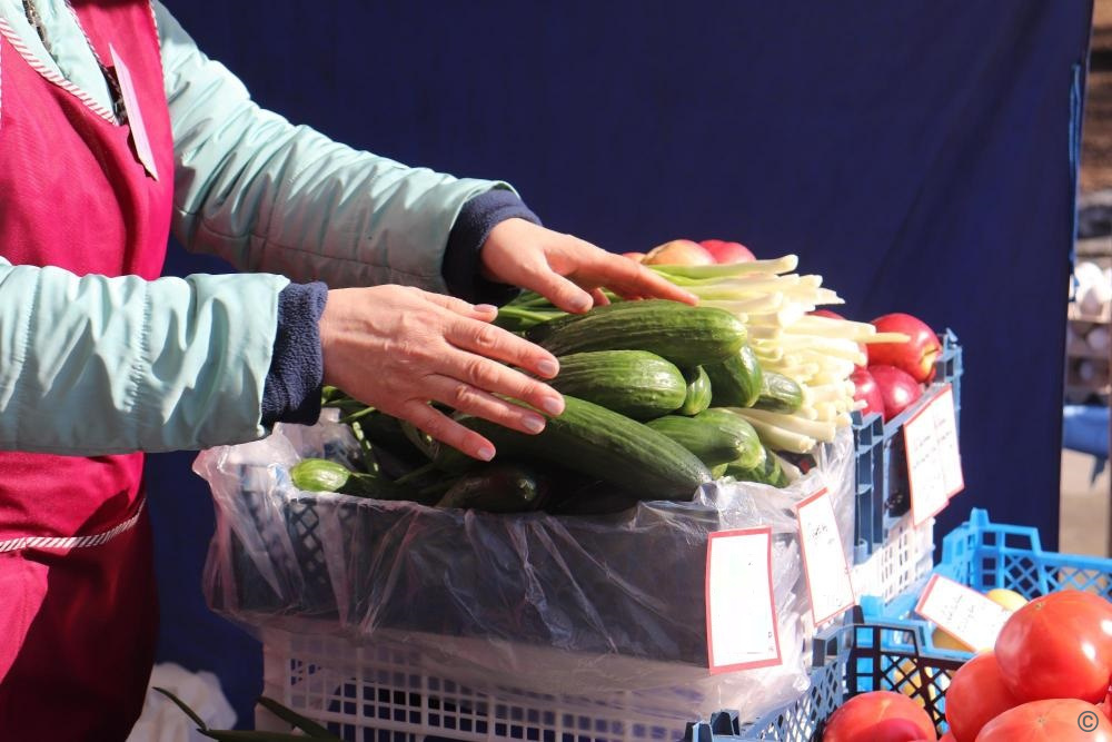 В Барнауле завершился осенний сезон продовольственных ярмарок - Вечерний Барнаул, 17.11.2025