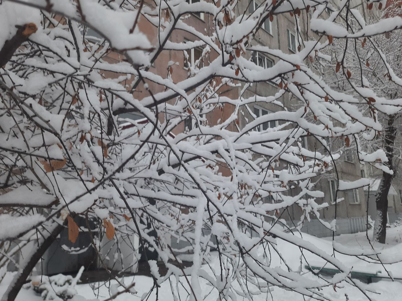 В Барнауле 15 марта ожидается небольшой снег - Вечерний Барнаул, 15.03.2026