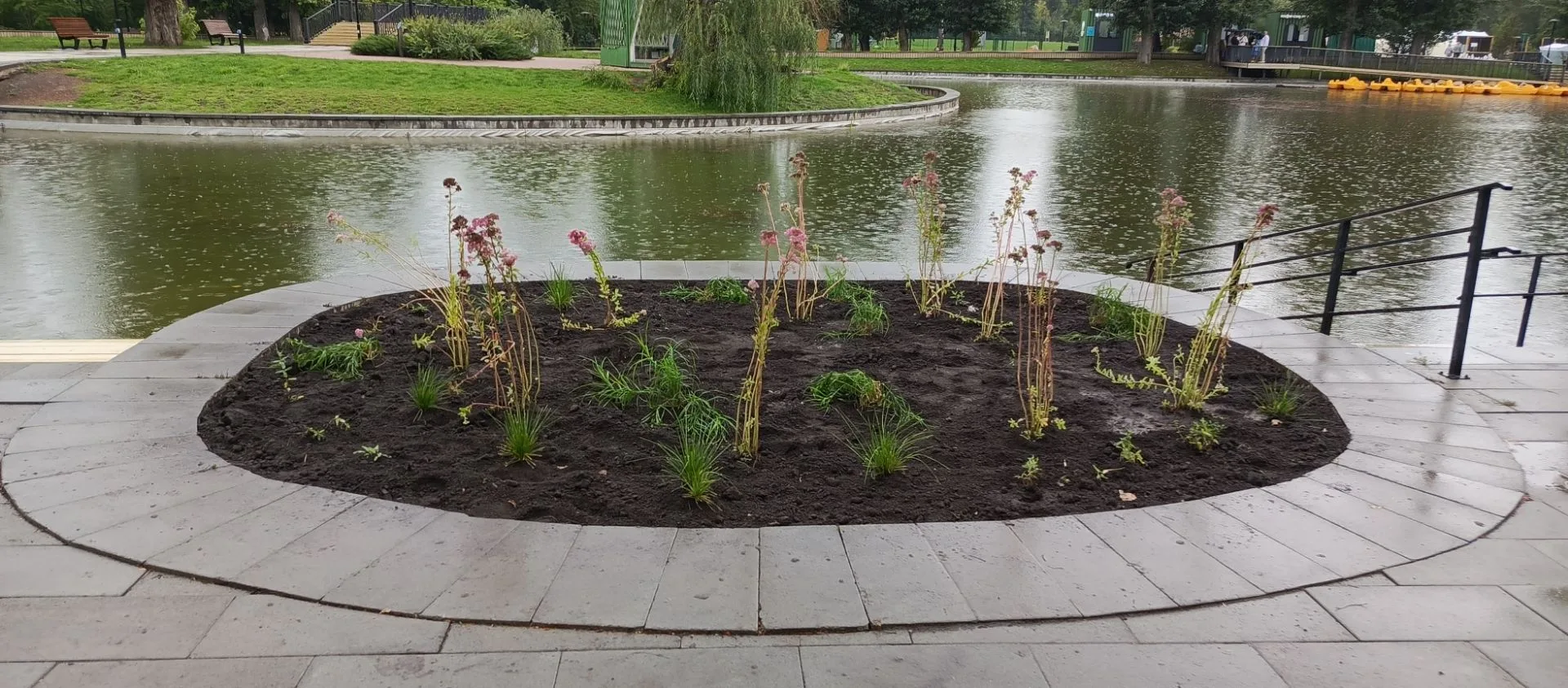В барнаульском парке появится уголок удольфианского сада - Вечерний Барнаул, 21.08.2026
