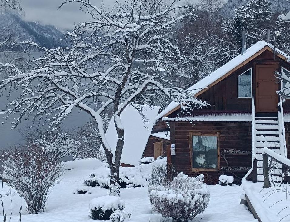 В алтайском заповеднике поделились кадрами заснеженного берега Телецкого озера - Вечерний Барнаул, 16.11.2025