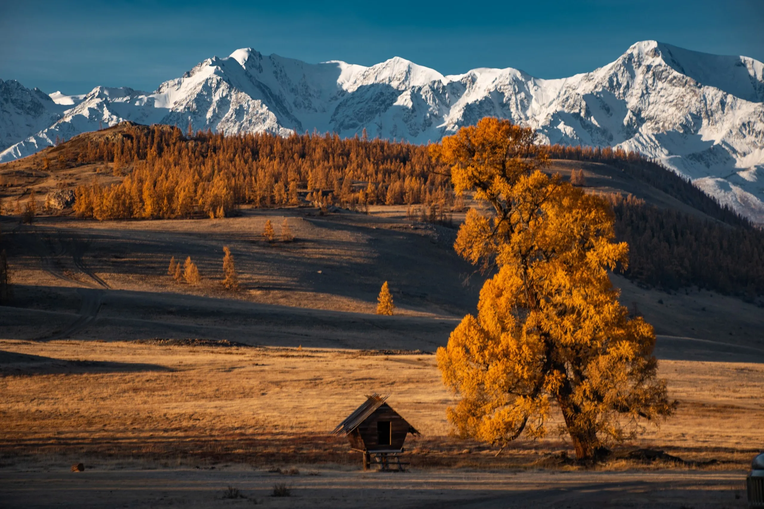 Работы алтайских фотографов представят на выставке в Художественном музее - Вечерний Барнаул, 04.11.2025