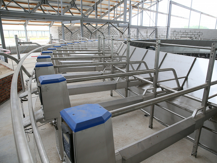 Животноводческий комплекс курочкино эконива. Эконива тальменка алтайский. Эконива коровы. Директор эконива алтайский край. Сибирская нива новосибирская область.