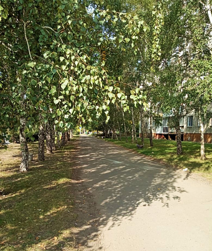 Фото: администрация Барнаула