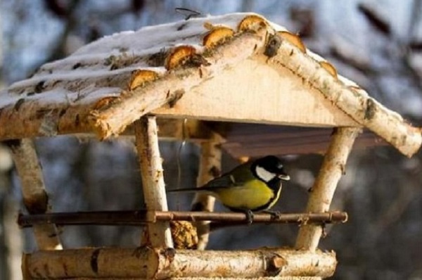 Покормите птиц зимой, или 6 креативных кормушек своими руками